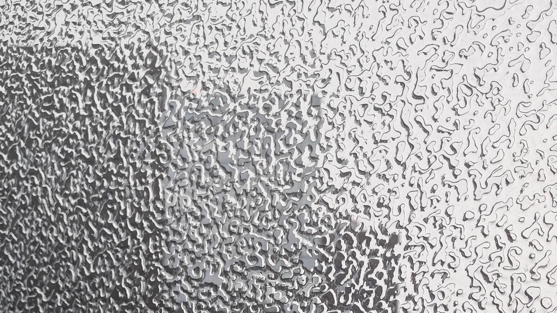 Jäävihm Tallinnas, 26FEB26. Foto: Peeter P. Mõtsküla